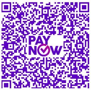 paynow darul paynow darul